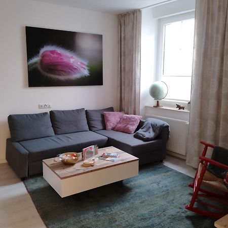 Ferienwohnung Am Geysirzentrum Andernach Eksteriør bilde