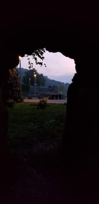 Ferienwohnung Am Geysirzentrum Andernach Eksteriør bilde