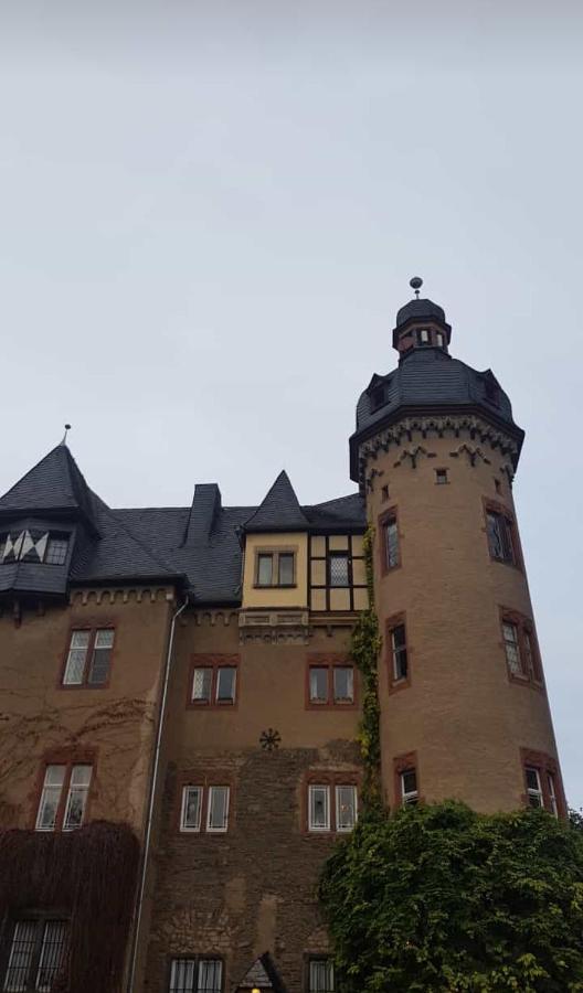 Ferienwohnung Am Geysirzentrum Andernach Eksteriør bilde
