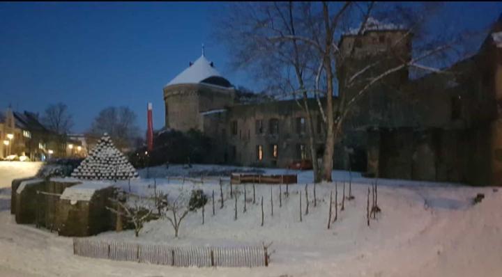 Ferienwohnung Am Geysirzentrum Andernach Eksteriør bilde