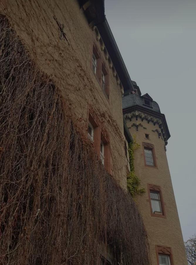 Ferienwohnung Am Geysirzentrum Andernach Eksteriør bilde