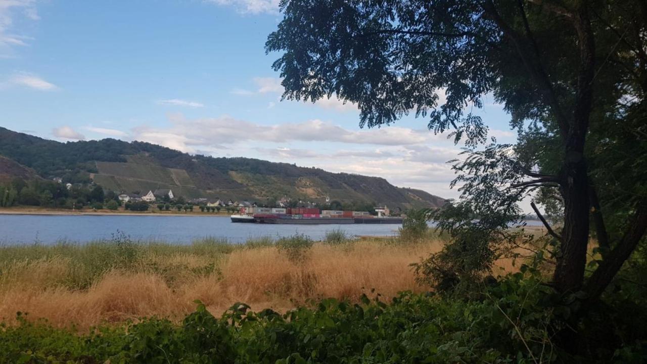 Ferienwohnung Am Geysirzentrum Andernach Eksteriør bilde